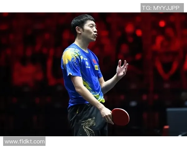 深度对话：赵强如何在排球世界中追逐梦想与挑战