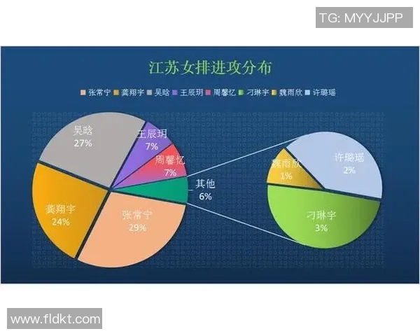 重庆排球队在全国锦标赛中的经验与表现深度分析