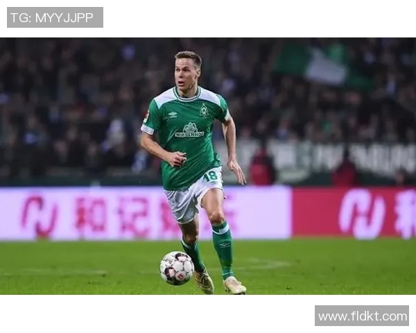 芬兰足球历史上的传奇球星盘点与回顾