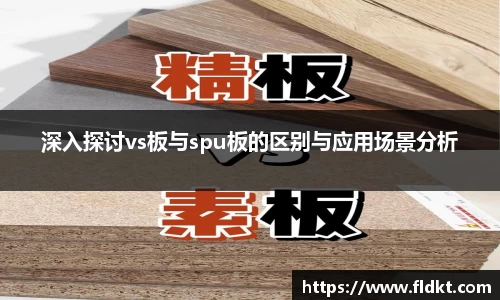 深入探讨vs板与spu板的区别与应用场景分析
