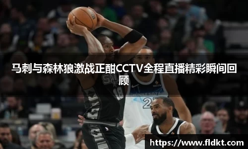 马刺与森林狼激战正酣CCTV全程直播精彩瞬间回顾